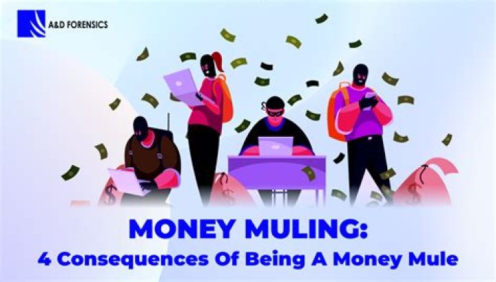 Can you go to jail for being a money mule?