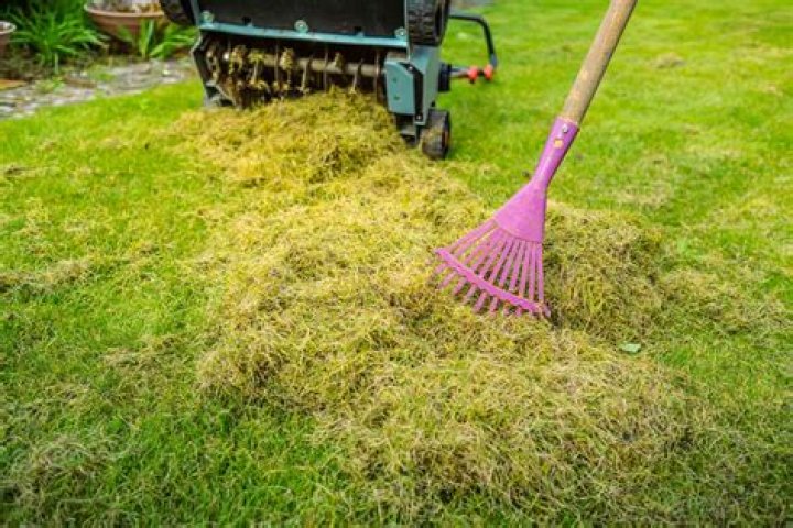 Can you hurt your lawn by dethatching?