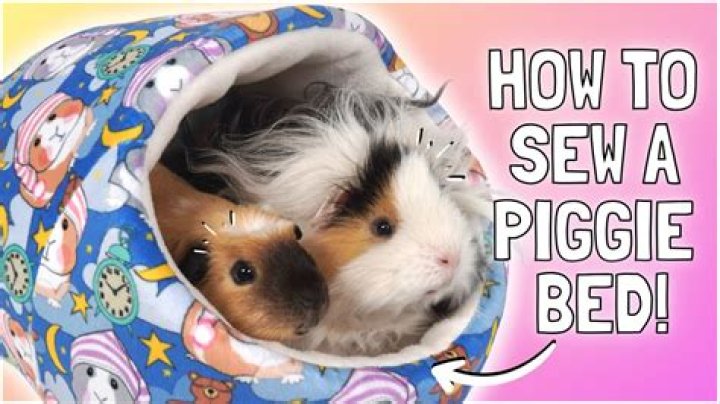 Can you make your own guinea pig bedding?