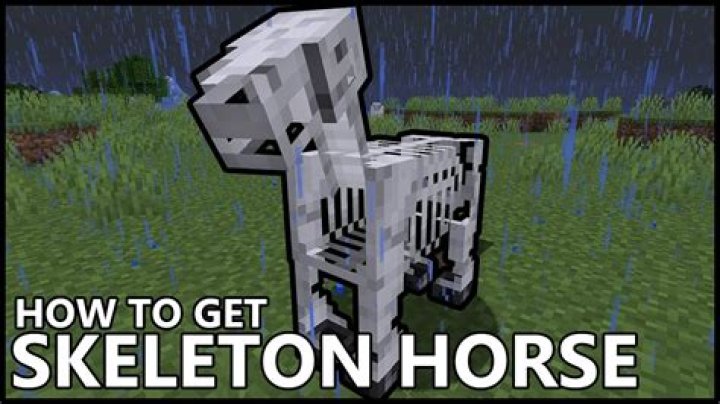Can you put a saddle on a skeleton horse in Minecraft?