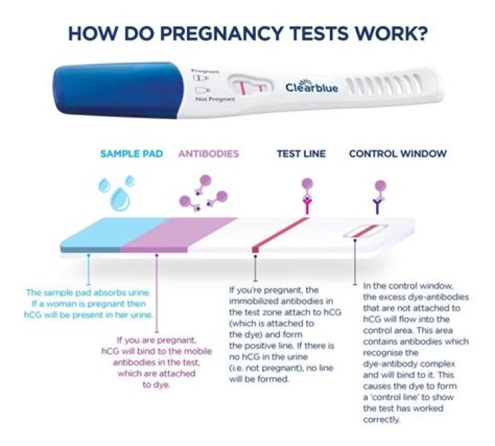 Can you take a bath in late pregnancy?