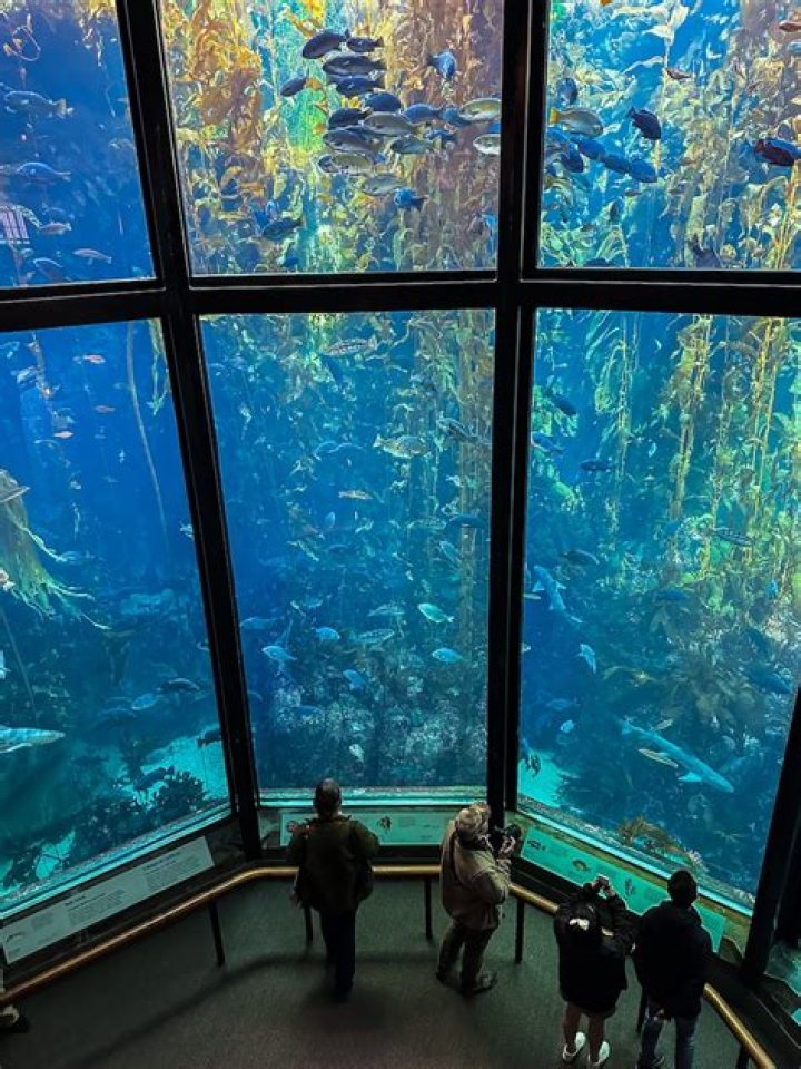Can you take water into the Monterey Bay Aquarium?