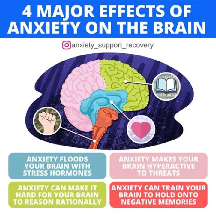 Can your brain recover from anxiety?