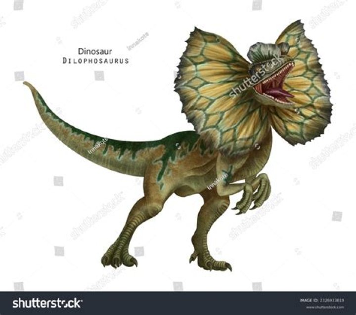 Did Dilophosaurus really have a frill?