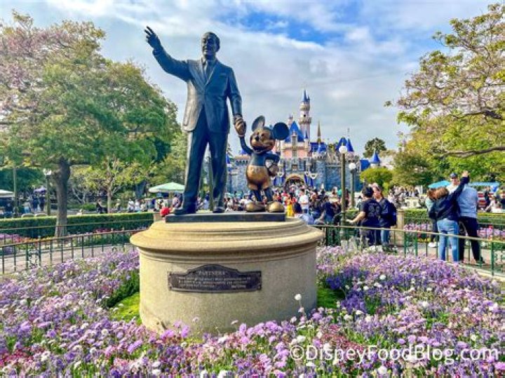 Did Disneyland remove masks?
