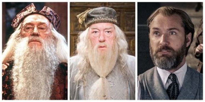 Did Dumbledore know Snape was a Death Eater?