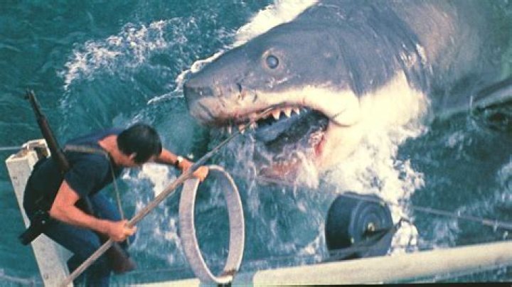 Did Jaws make a profit?