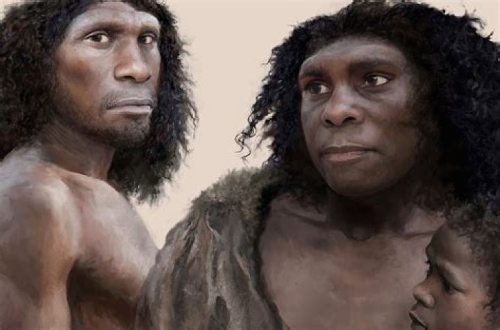 Did Neanderthals breed with humans?