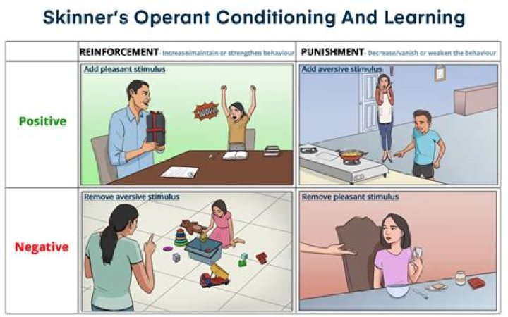 Did Skinner use positive punishment?