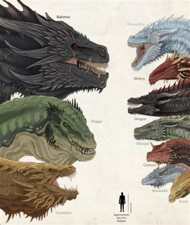 Did Tam know Rand was the Dragon?