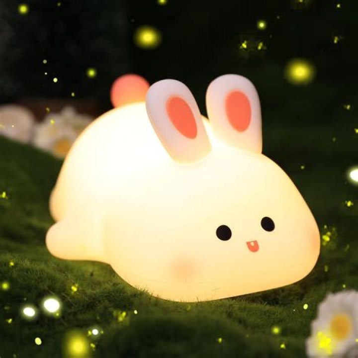 Do bunnies need night lights?