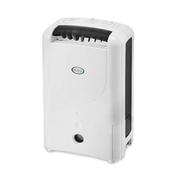 Do dehumidifiers dry out walls?