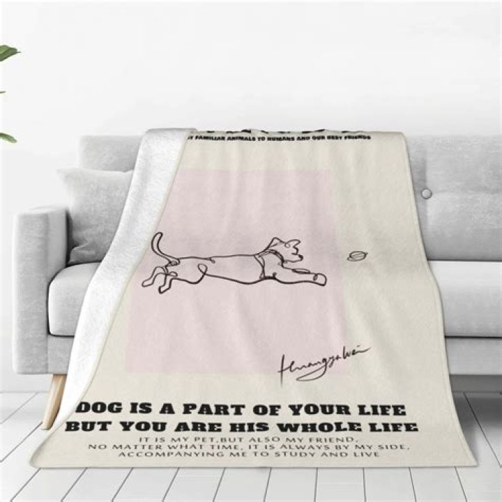 Do dogs like blankets over them?