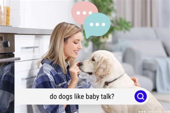 Do dogs like when we baby talk?