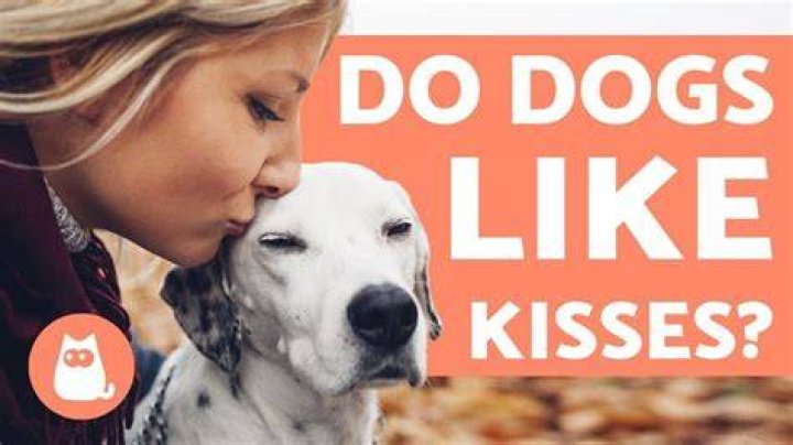 Do dogs like when you kiss him?