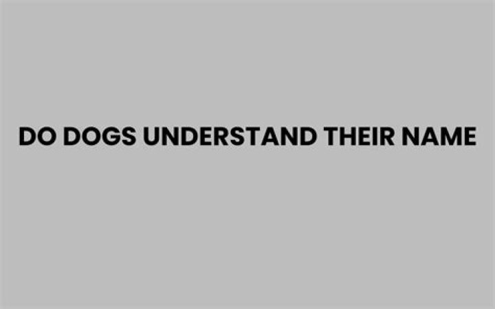 Do dogs recognize their name?