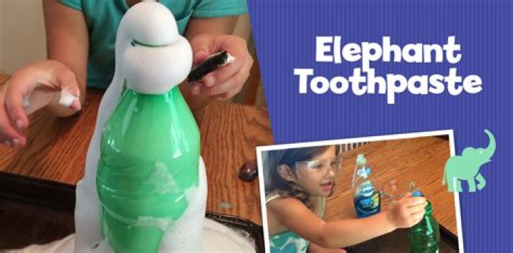 Do elephants brush their teeth with elephant toothpaste?