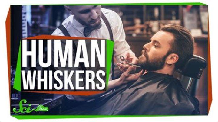 Do humans have whiskers?