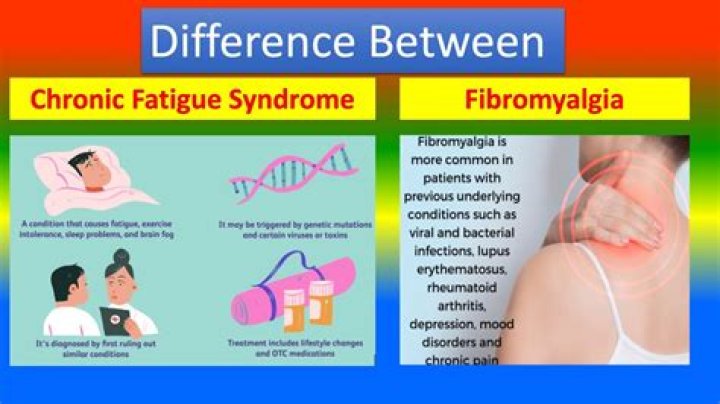 Do I have CFS or fibromyalgia?