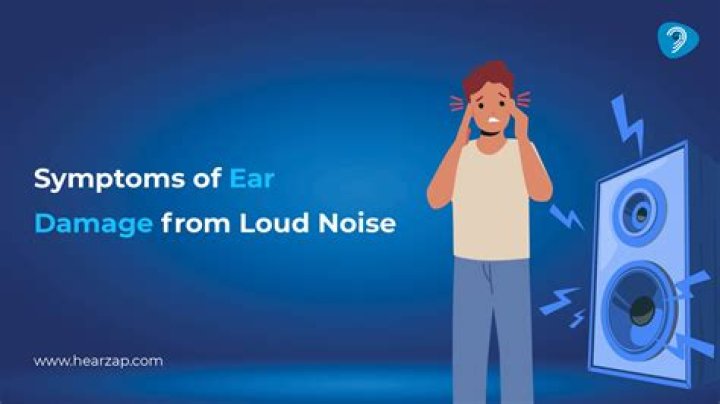 Do loud noises hurt bettas?