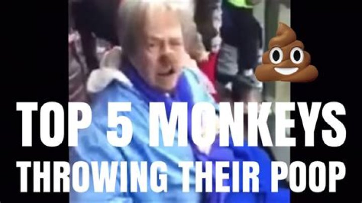 Do monkeys throw poop?