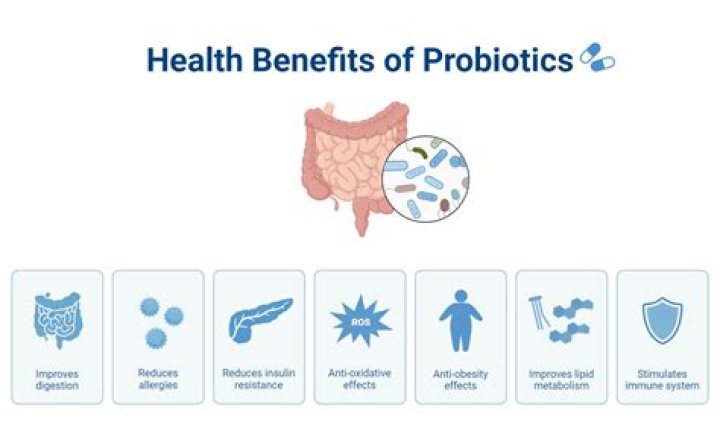 Do probiotics help the pancreas?