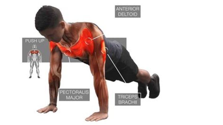 Do push-ups build muscle?