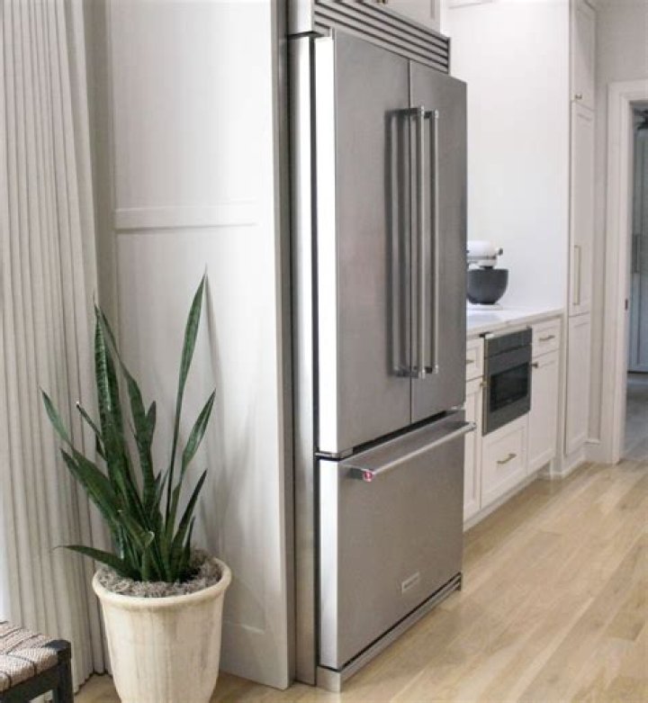 Do rats hide in fridge?