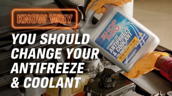 Do rats like antifreeze?