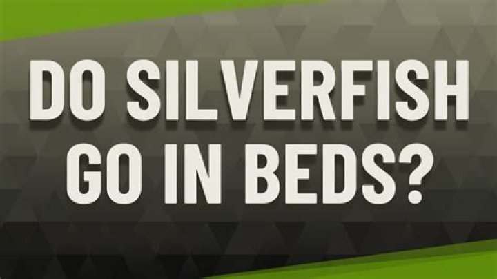 Do silverfish go in your bed?