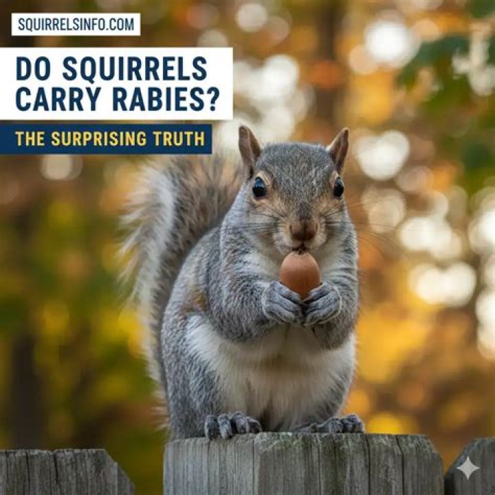 Do squirrels carry plague?