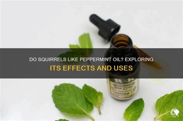 Do squirrels like peppermint?