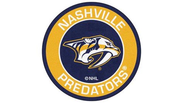 Do the Nashville Predators make money?