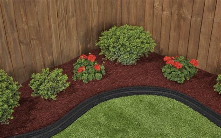Do ticks live in rubber mulch?