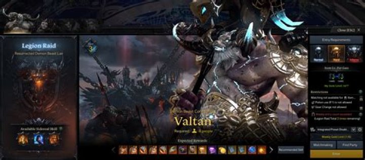Do you need support in Lost Ark?