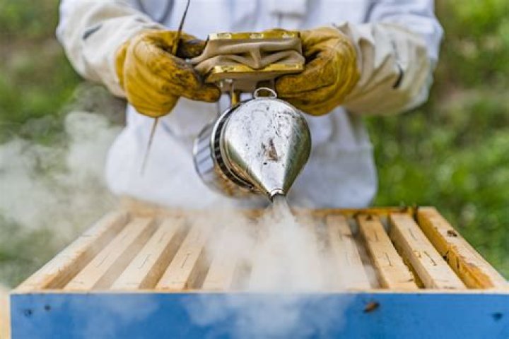 Does a bee smoker work on yellow jackets?