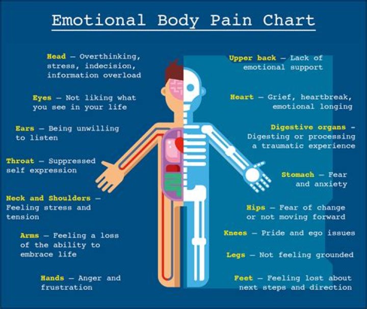 Does a body feel pain during cremation?