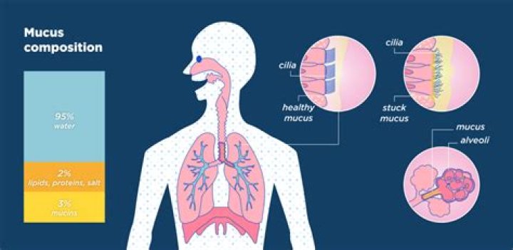 Does acid reflux cause mucus in lungs?