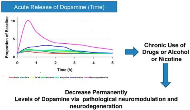 Does Adderall increase dopamine?