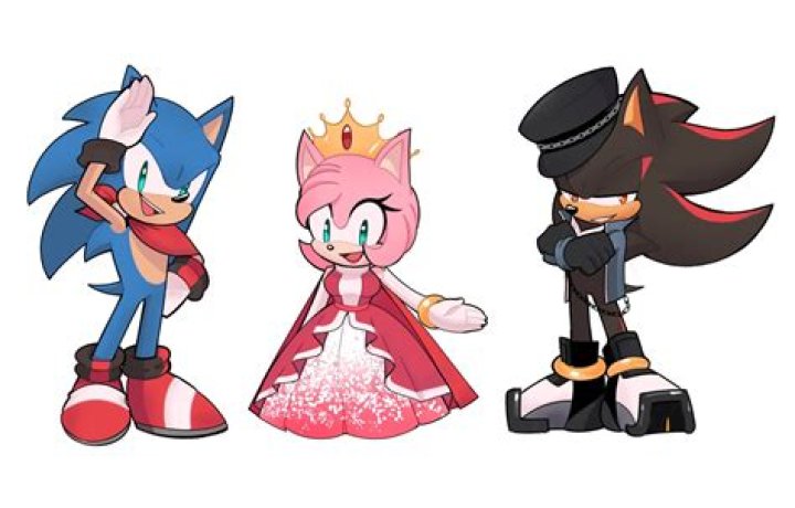 Does Amy like Shadow or Sonic?