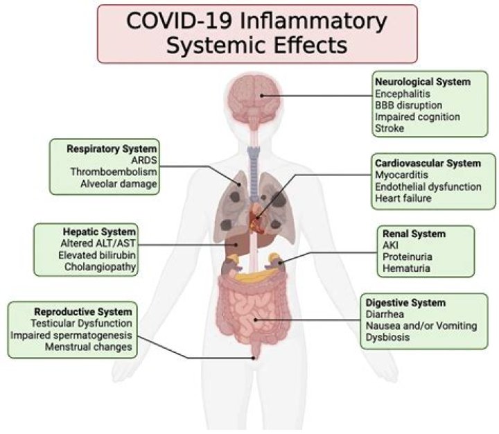 Does Covid affect your bladder?