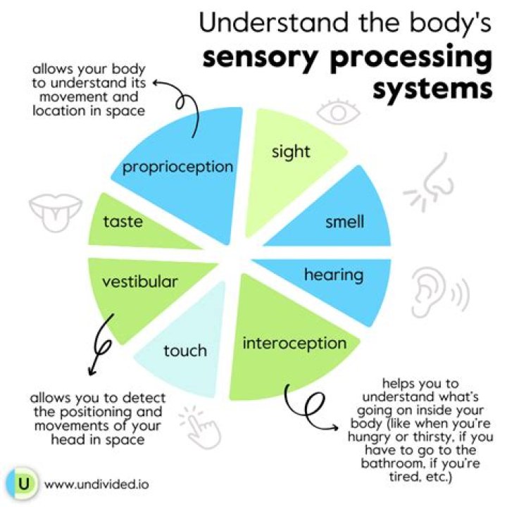 Does diet affect sensory processing disorder?