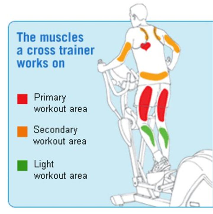 Does elliptical burn thigh fat?