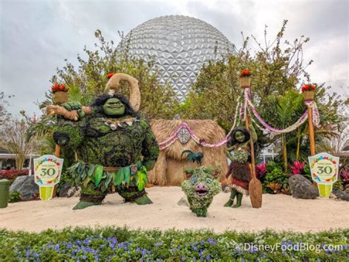 Does Epcot have any rides?