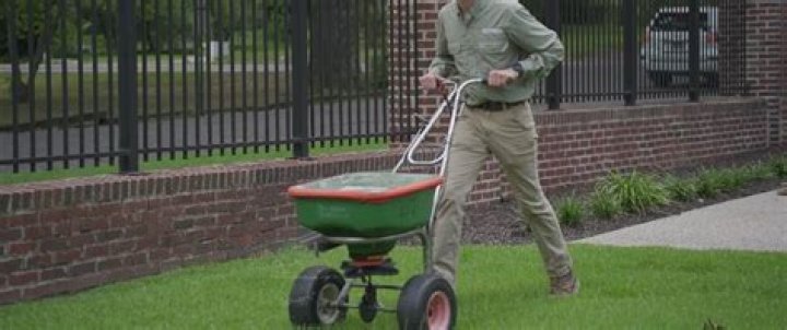 Does fertilizer need to be watered in?