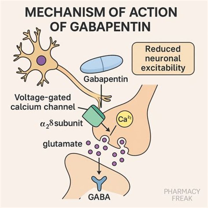 Does gabapentin heal damaged nerves?