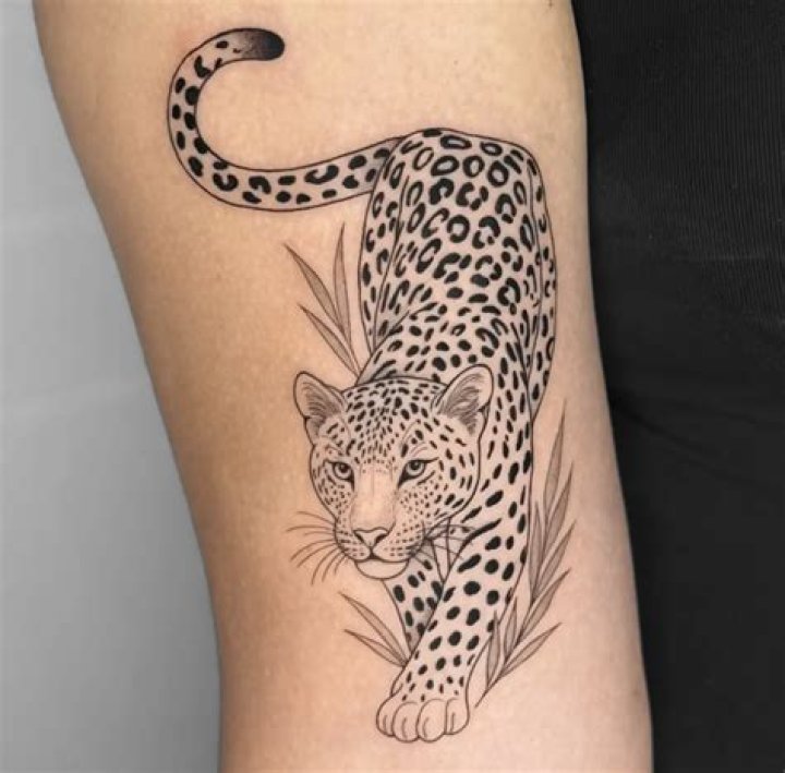 Does getting a tattoo lower your immune system?
