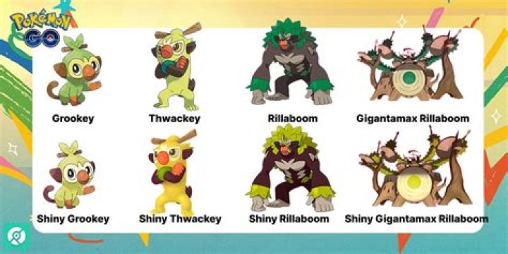 Does Goh catch Grookey?