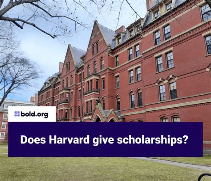 Does Harvard prefer IB or AP?