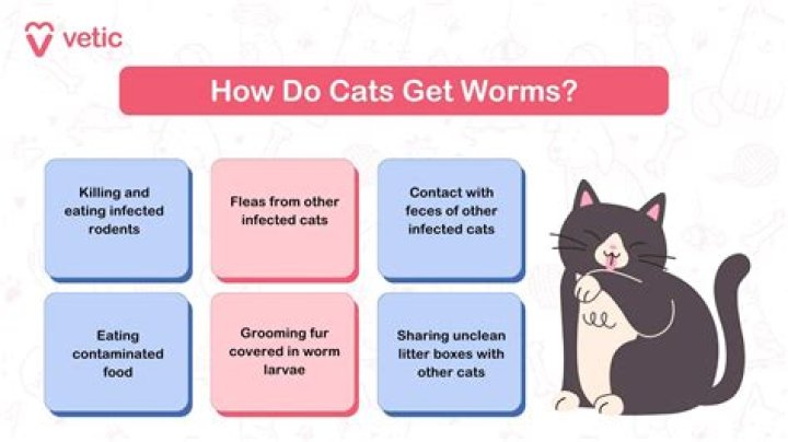 Does it hurt worms to touch them?